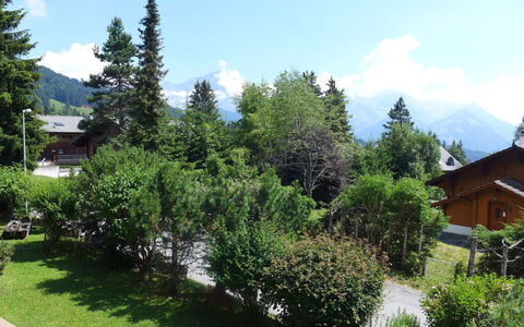 Villars 995: Albero, Proprietà, Vegetazione, Biome, Casa, Natura Selvaggia, Casa, Immobiliare, Woody Impianto, Pianta