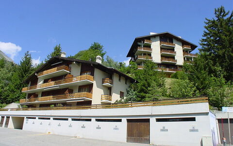 Ovronnaz 240: Zona Residenziale, Casa, Casa, Sobborgo, Paesino Di Montagna, Balcone, Villa, Larice, Sempreverde