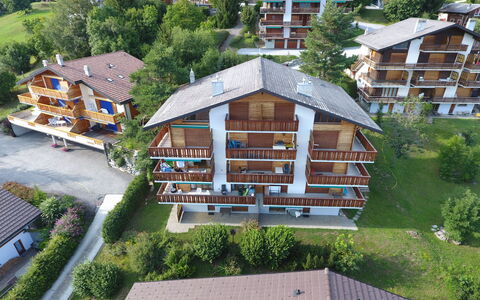 Ovronnaz 255: Pianta, Costruzione, Albero, Botanica, Casa, Finestra, Lotto, Urban Design, Vegetazione, Condominio