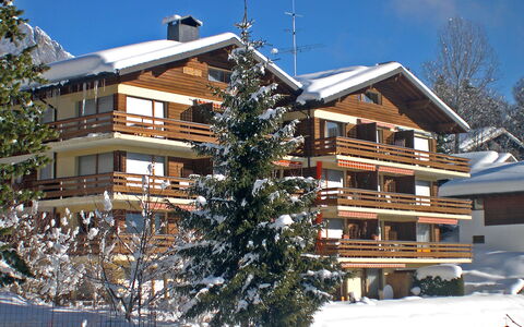 Ovronnaz 260: Casa, Villetta, Estate, Landscaping, Larice, Agriturismo, Balcone, Paesino Di Montagna