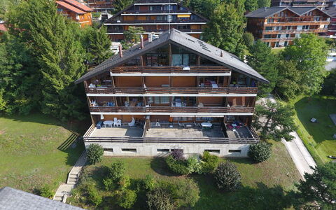 Centaure a Rs 3: Pianta, Proprietà, Costruzione, Albero, Urban Design, Finestra, Condominio, Tempo Libero, Casa, Facciata