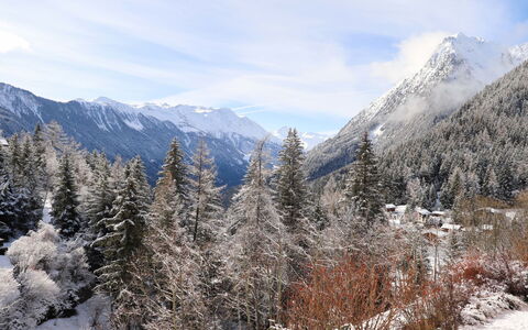 Champex 350: Nube, Cielo, Montagna, Neve, Pianta, Paesaggio Naturale, Larice, Pendenza, Albero, Terreno