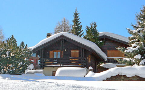 Lao-Lao: Cielo, Neve, Proprietà, Costruzione, Albero, Casa, Finestra, Pendenza, Pianta, Larice