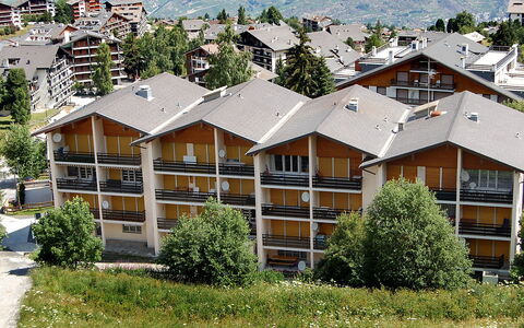Nendaz 250: Pianta, Costruzione, Giorno, Finestra, Albero, Botanica, Vegetazione, Urban Design, Lotto, Architettura