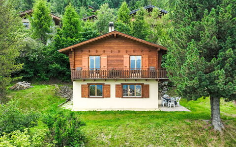 Mungg: Pianta, Costruzione, Paesaggio Naturale, Albero, Finestra, Lotto, Casa, Legna, Paesaggio, Villetta