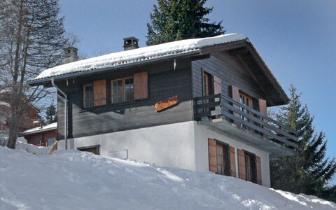 Hildegarde: Neve, Inverno, Proprietà, Casa, Casa, Albero, Architettura, Hill Station, Immobiliare, Fenomeno Geologico