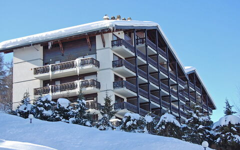 Nendaz 150: Cielo, Costruzione, Finestra, Neve, Albero, Urban Design, Casa, Condominio, Pendenza, Congelamento