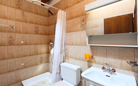 Nendaz 150: Bagno, Proprietà, Camera, Interior Design, Costruzione, Architettura, Vasca Da Bagno, Immobiliare, Casa, Pavimento
