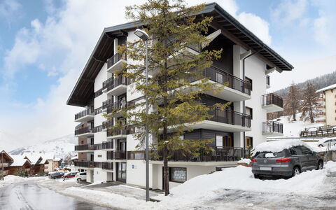 Nendaz 160: Zona Residenziale, Appartamento, Casa, Condominio, Balcone, Pendenza, Neve, Inverno, Congelamento, Alpi
