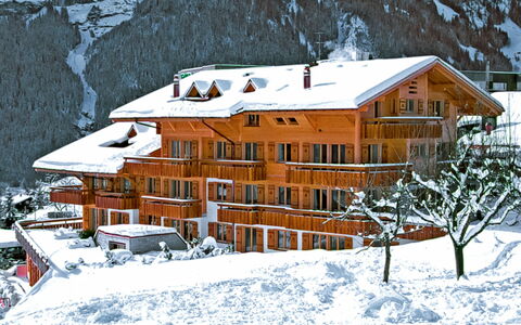 Grindelwald 100: Costruzione, Neve, Proprietà, Finestra, Casa, Pendenza, Architettura, Villetta, Congelamento, Albero