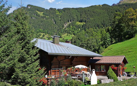 Grindelwald 121: Pianta, Nube, Cielo, Proprietà, Comunita 'Impianto, Ecoregione, Montagna, Natura, Paesaggio Naturale, Casa