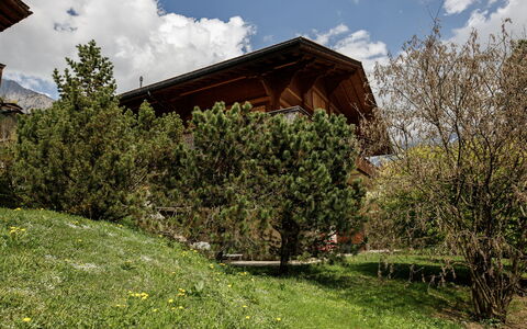 Grindelwald 106: Casa, Arbusto, Casa, Villetta, Pendenza, Giardino, Agriturismo, Landscaping, Larice, Cortile
