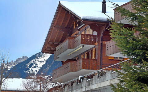 Chalet Perle: Cielo, Costruzione, Finestra, Neve, Albero, Legna, Casa, Pendenza, Tetto, Zona Residenziale