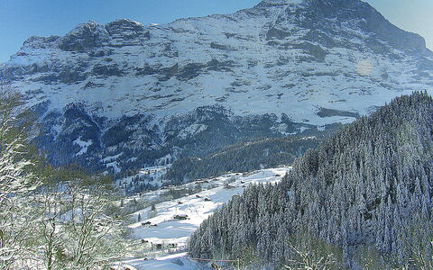 Grindelwald 145: Acqua, Pianta, Costruzione, Cielo, Proprietà, Nube, Piscina, Azzurro, Finestra, Casa
