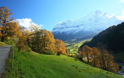 Alloggio:&nbsp;Chalet auf Dem Vogelstein 145.2