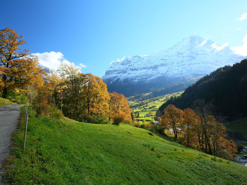 Alloggio:&nbsp;Chalet auf Dem Vogelstein 145.2