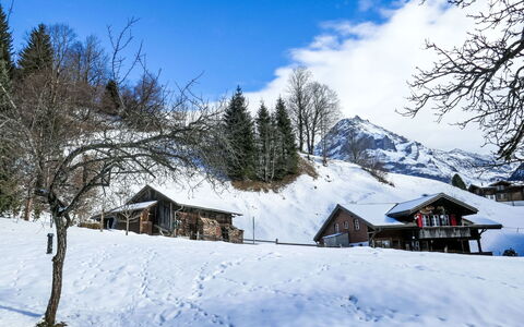 Grindelwald 150: Neve, Inverno, Geografia Montane, Casa, Montagna, Catena Montuosa, Villetta, Geomorfologia Glaciale, Casa, Paesaggio