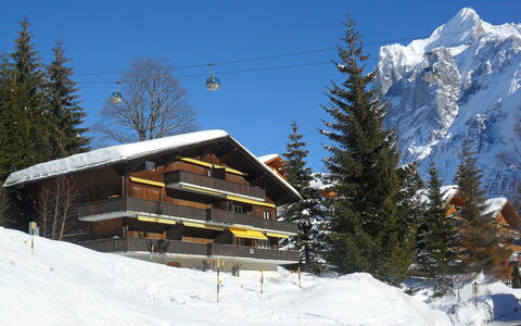 Chalet Bodmisunne: Cielo, Neve, Proprietà, Costruzione, Montagna, Albero, Casa, Pendenza, Larice, Congelamento