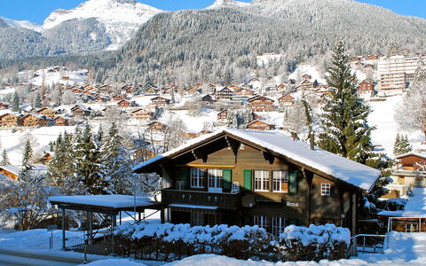 Chalet Anna: Cielo, Neve, Montagna, Costruzione, Natura, Pianta, Casa, Albero, Pendenza, Paesaggio Naturale