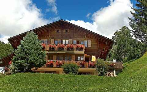 Chalet Doris: Nube, Pianta, Cielo, Costruzione, Albero, Finestra, Paesaggio Naturale, Lotto, Casa, Erba