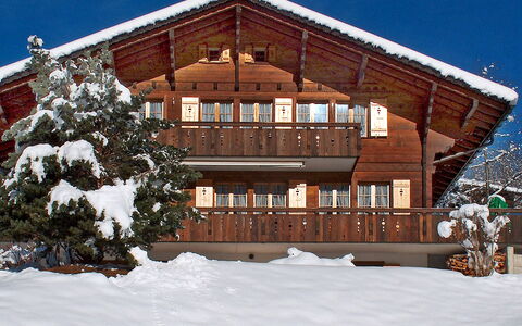 Chalet Doris: Costruzione, Neve, Finestra, Pianta, Cielo, Legna, Albero, Pendenza, Casa, Villetta