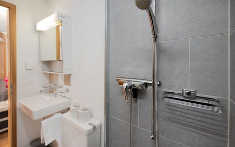 Chalet Chiebrendli: Idraulico Fixture, Bagno, Parete, Interior Design, Pavimentazione, Pavimento, Lavello, Rubinetto, Idraulico, Illuminazione