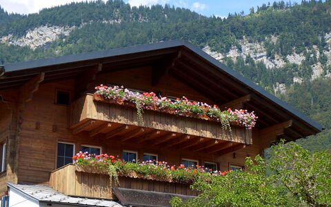 Oltschiblick: Fiore, Cielo, Nube, Pianta, Costruzione, Finestra, Montagna, Casa, Albero, Legna