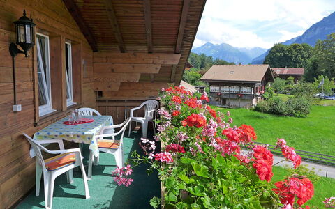 Oltschiblick: Proprietà, Fiore, Casa, Villetta, Costruzione, Pianta, Immobiliare, Giardino, Camera, Area Rurale