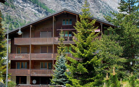 Zermatt 210: Pianta, Costruzione, Proprietà, Finestra, Montagna, Albero, Casa, Vegetazione, Lotto, Paesaggio Naturale
