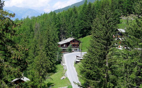 Lärchenheim: Albero, Geografia Montane, Biome, Montagna, Paesaggio Naturale, Hill Station, Natura Selvaggia, Boschi Di Conifere Tropicali E Subtropicali, Foresta, Woody Impianto