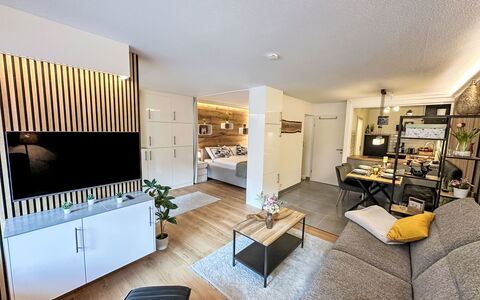 Alloggio:&nbsp;Ringstrasse Apt 113 900.64