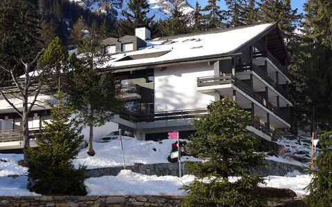Crans-Montana 120: Neve, Proprietà, Inverno, Casa, Montagna, Albero, Tetto, Casa, Architettura, Hill Station