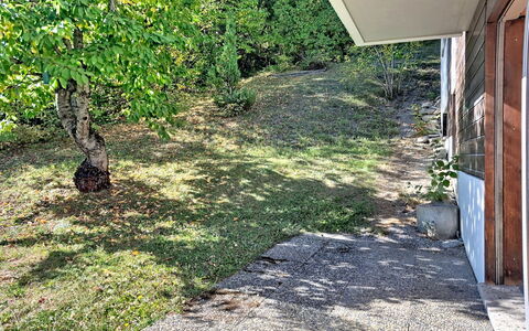 Yuca B Apt. 28: Erba, Verde, Arbusto, Giardino, Groundcover, Prato, Passerella, Backyard