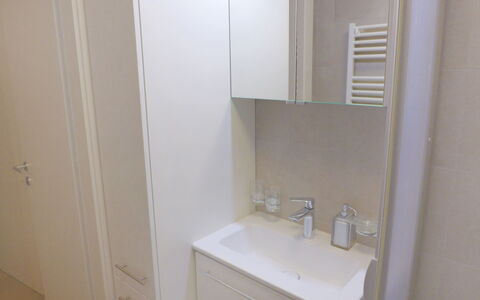 Crans-Montana 450: Lavello, Rubinetto, Lavandino Del Bagno, Specchio, Bagno, Idraulico Fixture, Cabinetry, Mobiletto Del Bagno, Legna, Costruzione