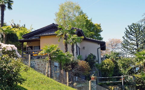 San Nazzaro 5: Pianta, Cielo, Costruzione, Proprietà, Finestra, Albero, Lotto, Casa, Vegetazione, Villetta