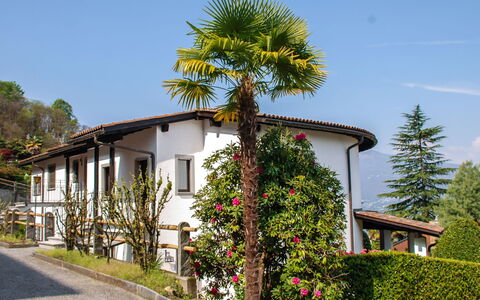 Piazzogna 100: Cielo, Pianta, Costruzione, Proprietà, Finestra, Albero, Casa, Arecales, Fiore, Parete