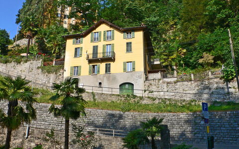 Tazzino: Pianta, Proprietà, Cielo, Costruzione, Finestra, Albero, Architettura, Casa, Biome