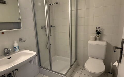 Ascona 100: Pavimento, Idraulico Fixture, Pavimentazione, Interior Design, Bagno, Idraulico, Camera, Lavello, Rubinetto, Lavandino Del Bagno