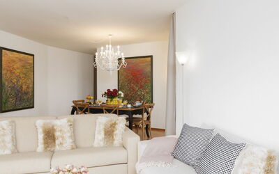 Alloggio:&nbsp;Suite Modern 250.17
