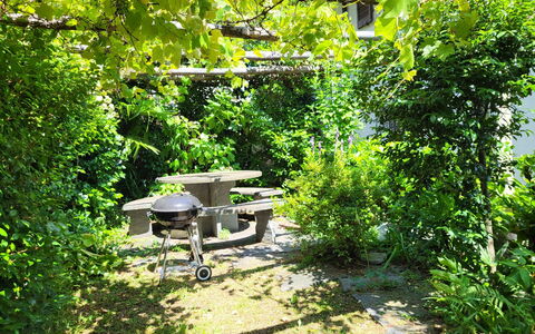 Stellina del Sole: Arbusto, Mobilia, Tavolo, Comunita 'Impianto, Giardino, Tavolo Esterno, Mobili Da Esterno, Shade, Primavera, Sedia