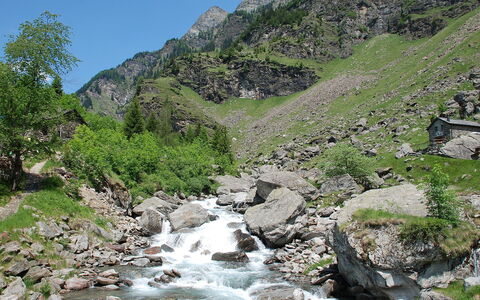 Rustico Dara Cotta: Corpo D'Acqua, Risorse Idriche, Geografia Montane, Paesaggio Naturale, Alveo, Natura, Stream, Acqua, Montagna, Vegetazione
