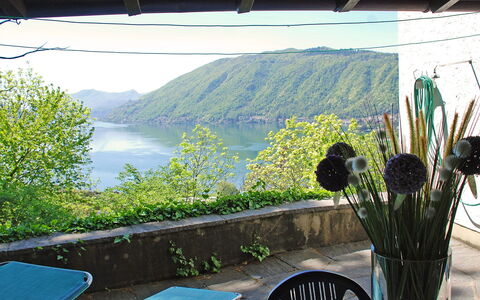 Christa: Proprietà, Botanica, Erba, Casa, Camera, Vacanza, Paesaggio, Pianta, Immobiliare, Ristorante