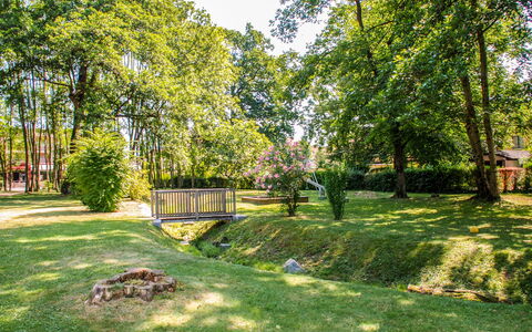 Caslano 100: Albero, Foglia, Erba, Natura, Verde, Ramo, Arbusto, Giardino, Prato, Primavera