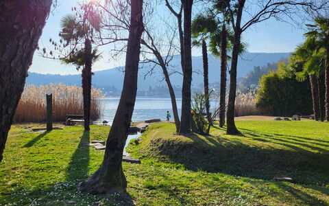 Caslano 100: Blu, Verde, Natura, Ramo, Foglia, Erba, Paesaggio Naturale, Estate, Paesaggio, Tronco