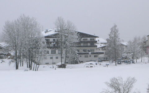 Apt. 13: Neve, Inverno, Bianca, Congelamento, Albero, Fenomeno Atmosferico, Casa, Blizzard, Casa