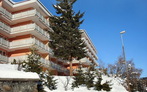 Arosa 100: Cielo, Pianta, Costruzione, Neve, Ramo, Larice, Albero, Sempreverde, Urban Design