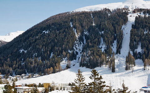 Davos 400: Neve, Montagna, Geografia Montane, Inverno, Hill Station, Catena Montuosa, Fenomeno Geologico, Natura Selvaggia, Albero, Alpi