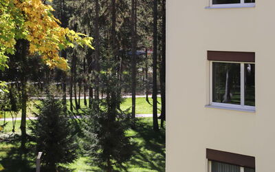 Davos 330: Pianta, Proprietà, Finestra, Costruzione, Shade, Albero, Quartiere, Zona Residenziale, Immobiliare