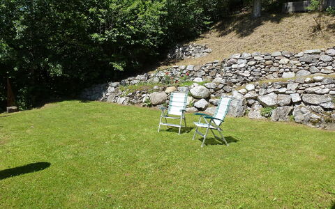 Deli: Prato, Erba, Graminacee, Cortile, Lotto, Giardino, Prato, Albero, Arbusto, Landscaping
