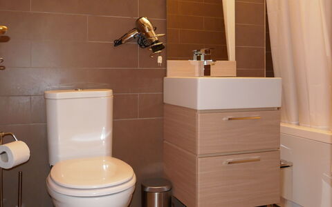 Pontresina 170: Marrone, Idraulico Fixture, Toilet Seat, Proprietà, Gabinetto, Bagno, Viola, Lavandino Del Bagno, Interior Design, Legna